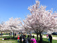DC_Mar_16_2016_0019