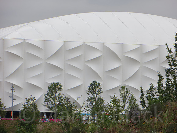 Basketball Arena
