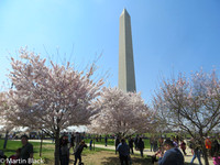 DC_Mar_16_2016_0016