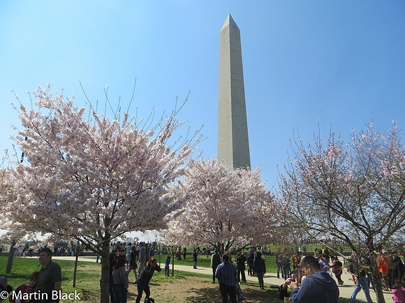 DC_Mar_16_2016_0016