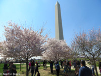 DC_Mar_16_2016_0015