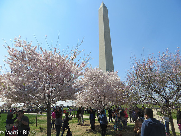 DC_Mar_16_2016_0015