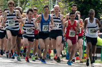 VIC_Park_5K_2016_0012