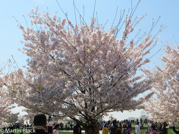 DC_Mar_16_2016_0014